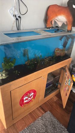 40 gallon acrylic tank