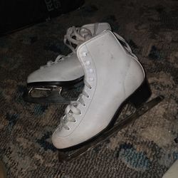 IceSkates