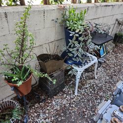 Everything Is For Sale 