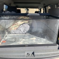 40gal Reptile Tank & Supplies