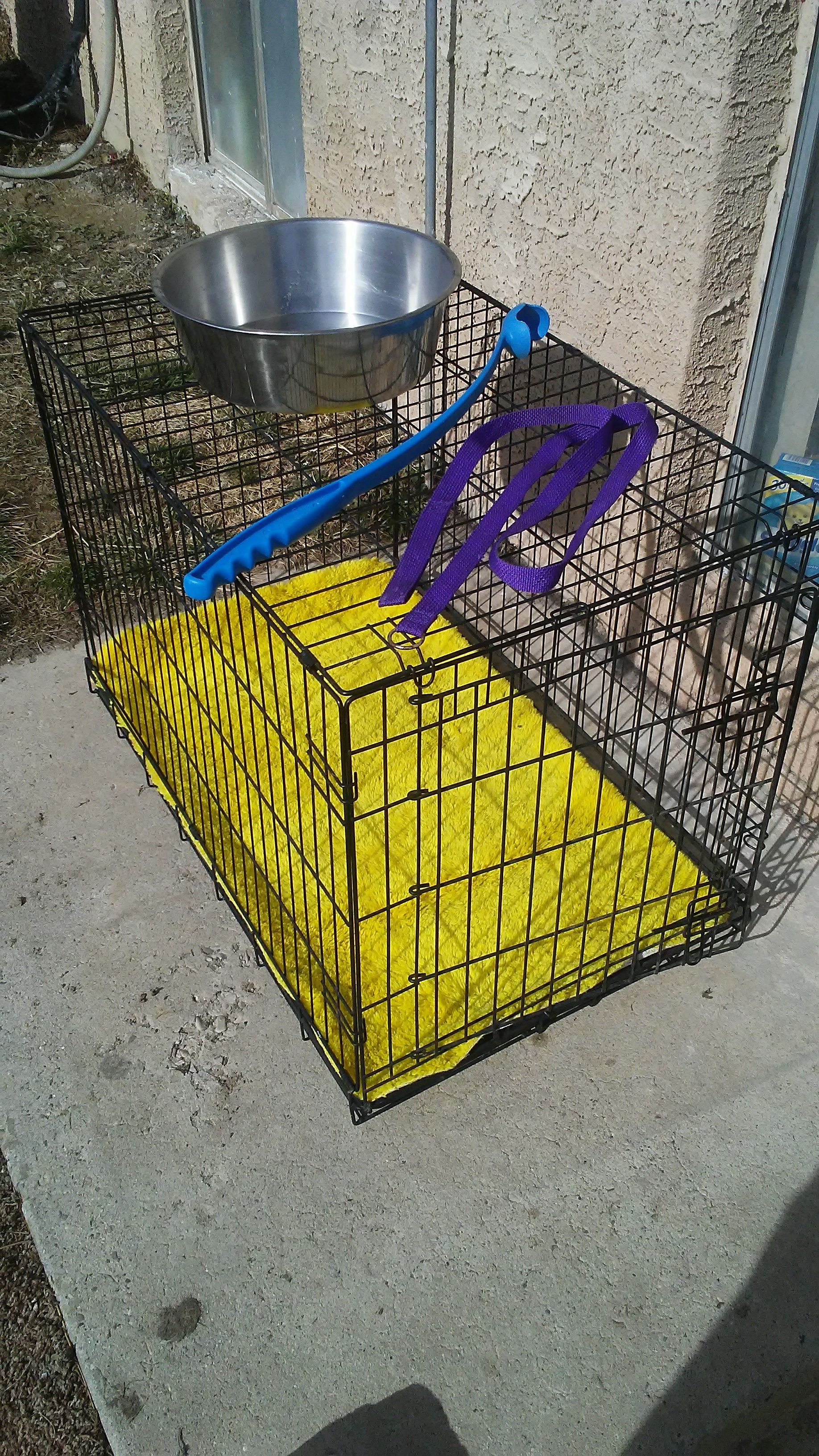 Large Dog crate w/ yellow rug, water bowl, leash, and toy