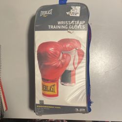 Everlast Boxing Gloves 