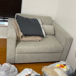 Love Seat Sofa Bed
