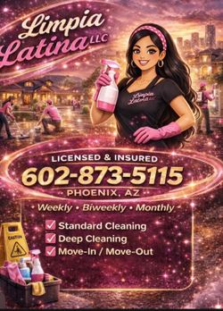 Cleaning service