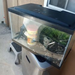 FISH TANK