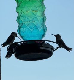 (2) deck bird feeder holders + (2) humming bird glass feeders