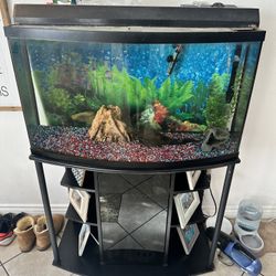 Fish Tank