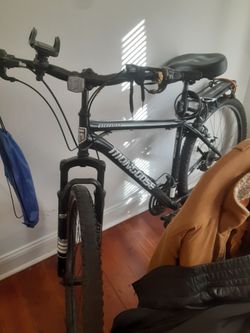 Mongoose excursion 29in