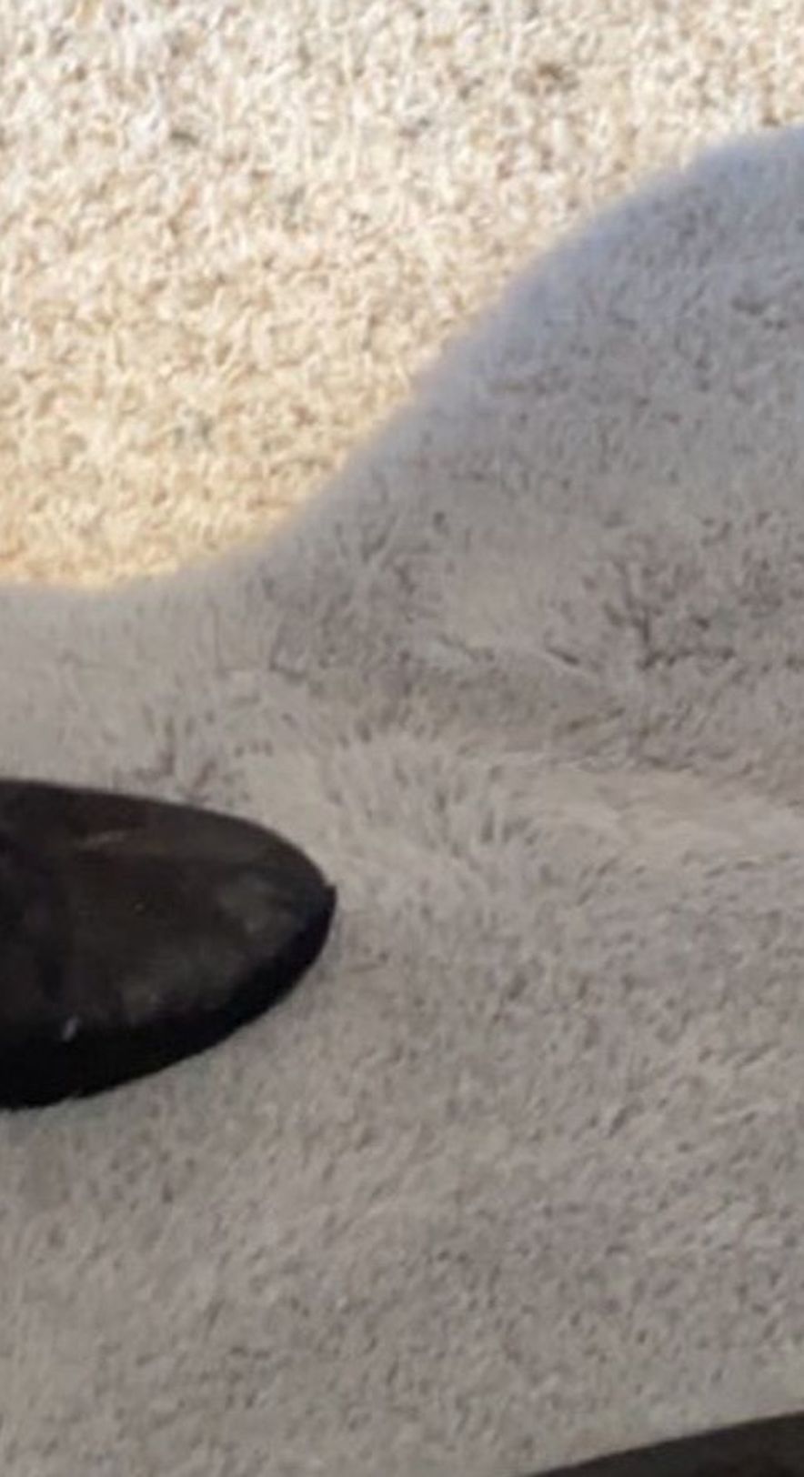Size 11