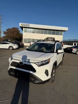2025 Toyota RAV4 Hybrid