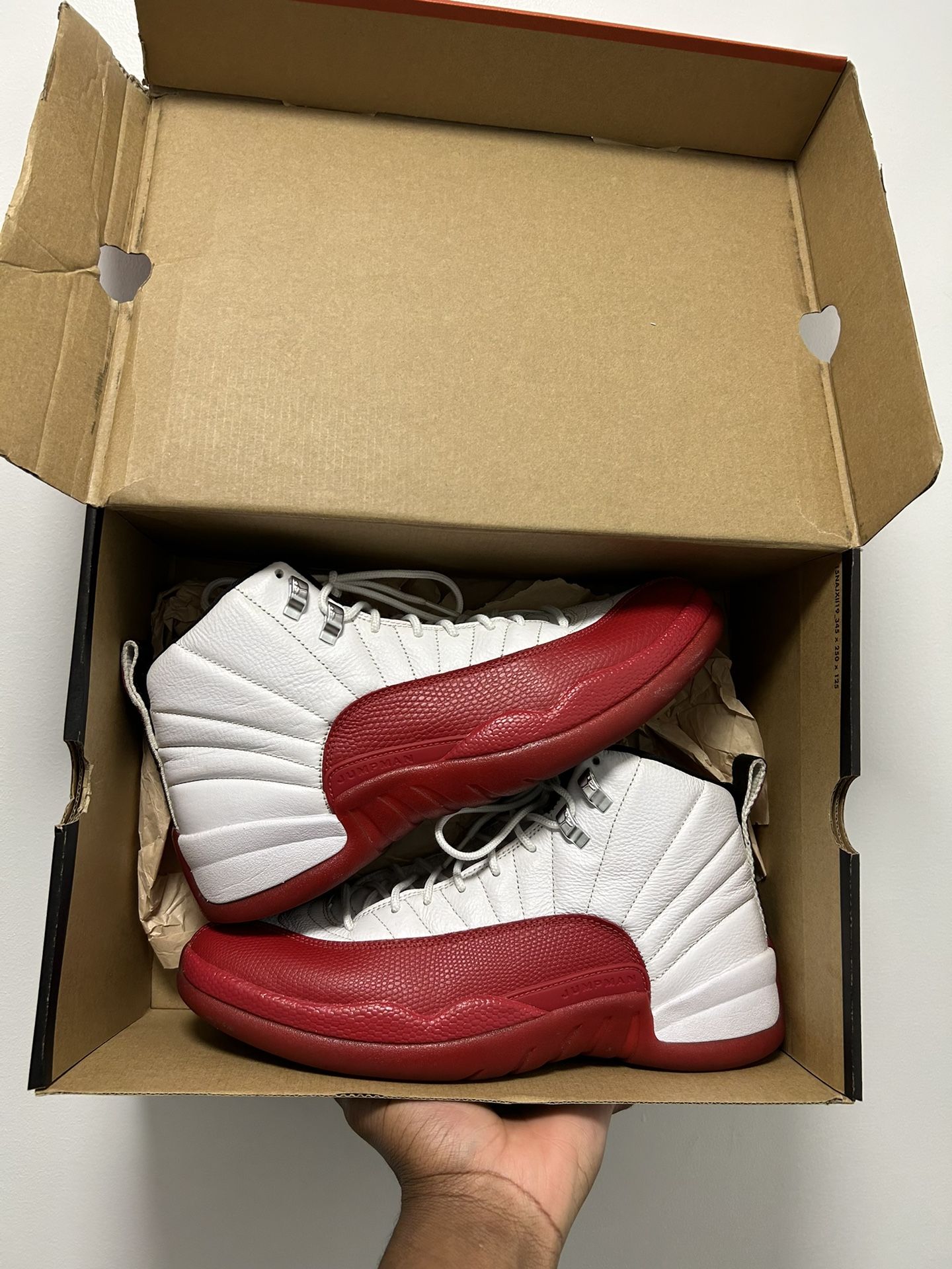 Air Jordan 12 Cherry Sz 10.5 9/10 