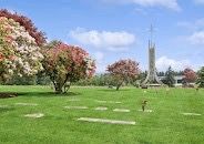 Cypress Lawn burial plot