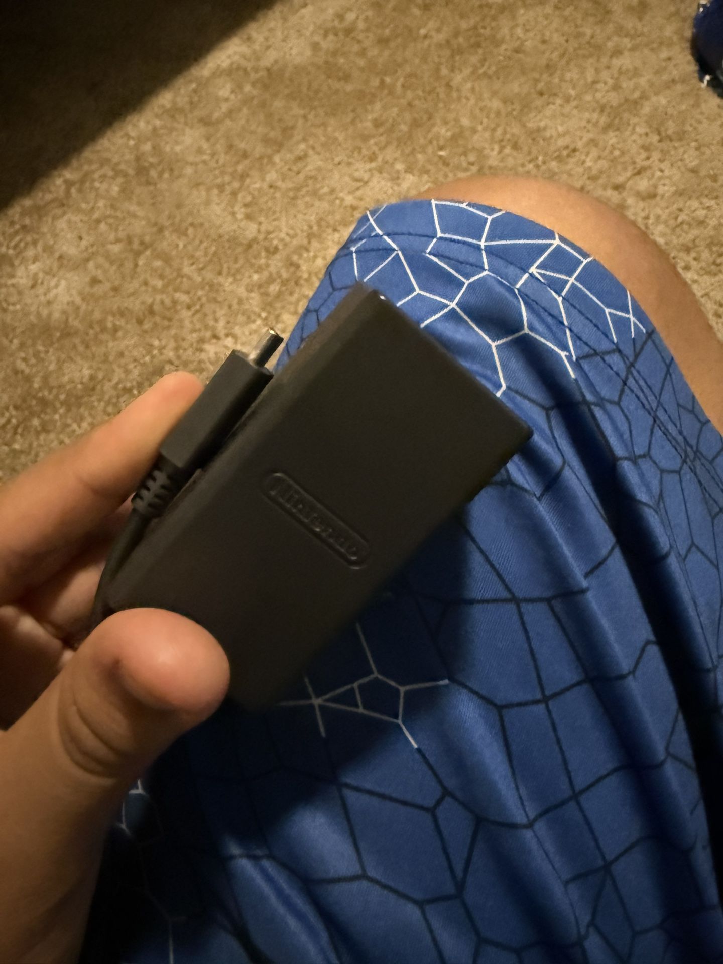 Nintendo Switch Charger