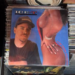 Ice-T Record 