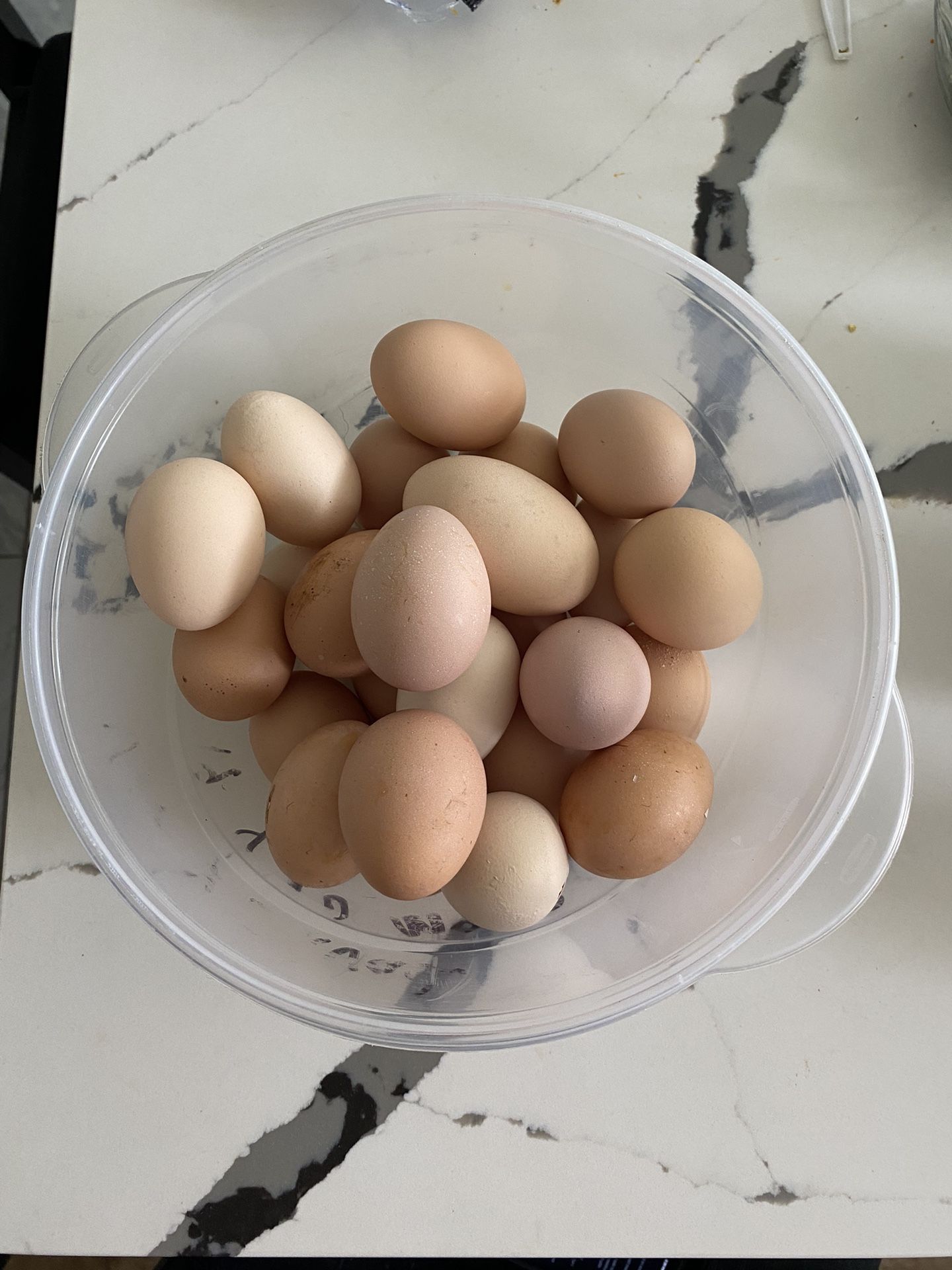 12 eggs for $8 (organic)