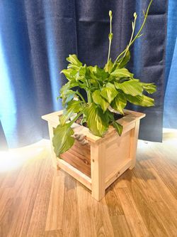 CUSTOM SIZE-Modern Square Wood Planter Boxes - Handmade in Perris