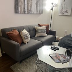 Loveseat Sofa and Coffee Table