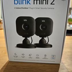 2 Blink cameras