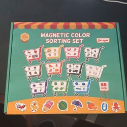 Magnetic Color Sorting Set 