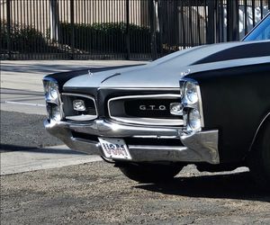 GTO bumper