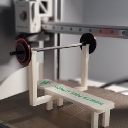 ELF ON THE SHELF WEIGHT AND BENCH