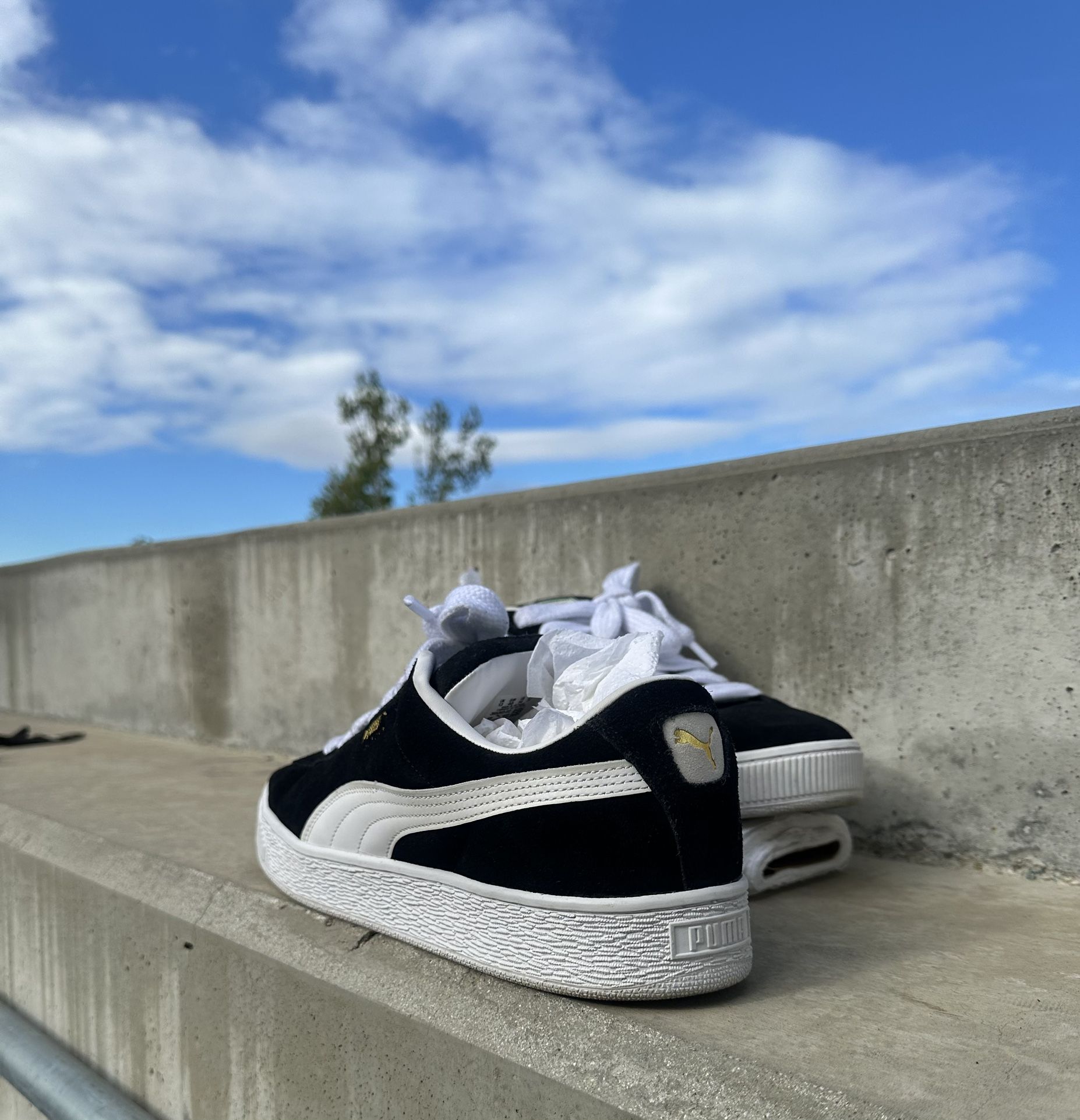 Pumas Classic Suede Size 13 On Sale π₯