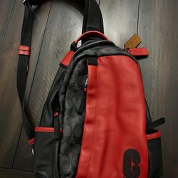 Men’s Coach bag