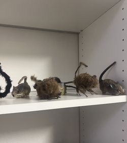 Halloween Decorative Mice Figurines