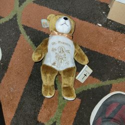 Saint Francis of Assisi Holy Bear