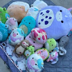 Bag Full Of Squishmallows