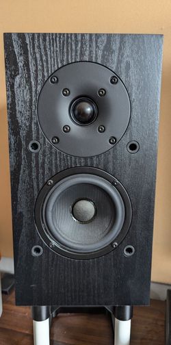 2x Pioneer BS-22 with Dennis Murphy mods (aka AAM)