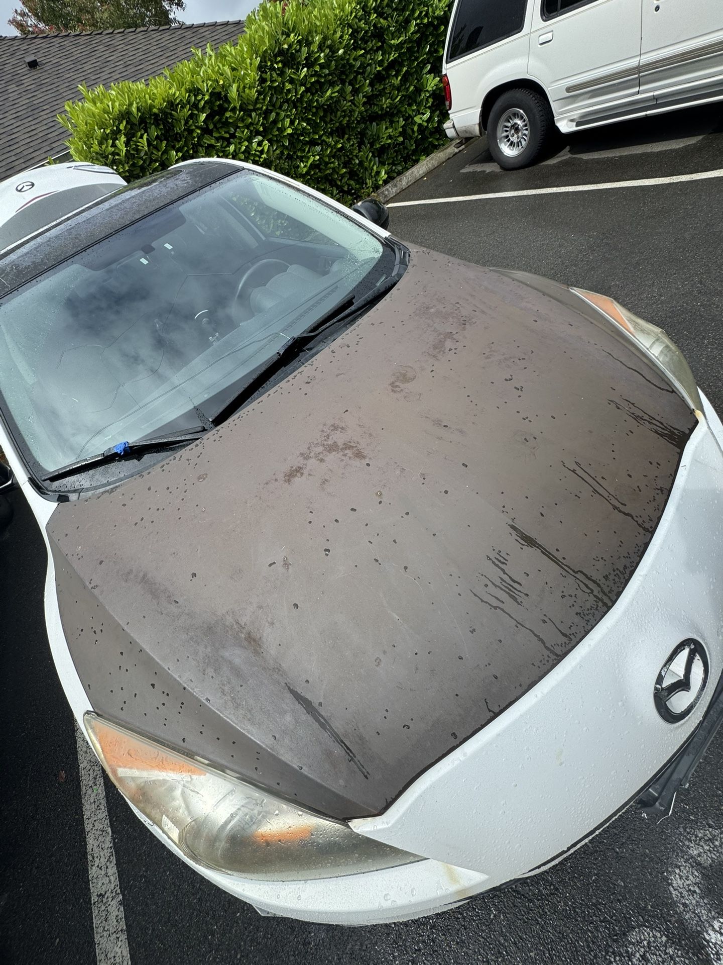 hood for MAZDA 3 my is 2010 works. fro2010 to 2014