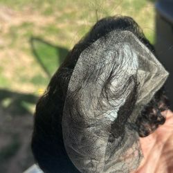 Tuneful Jerry Curl Wig