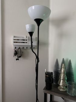 Floor Lamp with Dual Light Shades