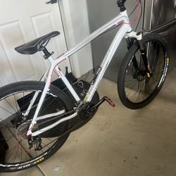 Raleigh Talus 29” Mountain Bike Size XL 