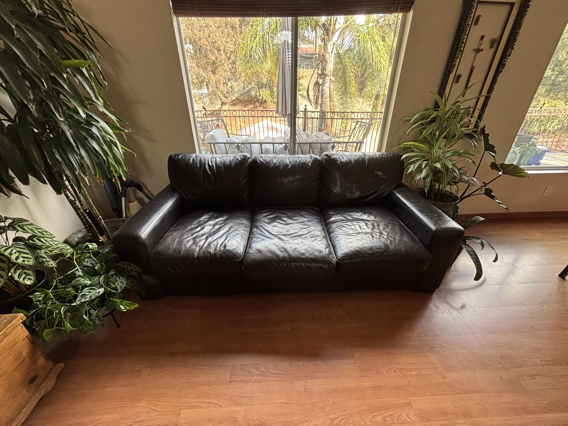 Brown Leather Couches