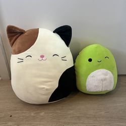 Squishmallows | Cat and Turtle