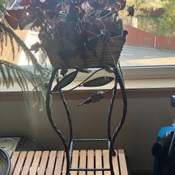 Plant With Stand/basket