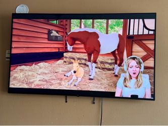 Smart TV 65” LG