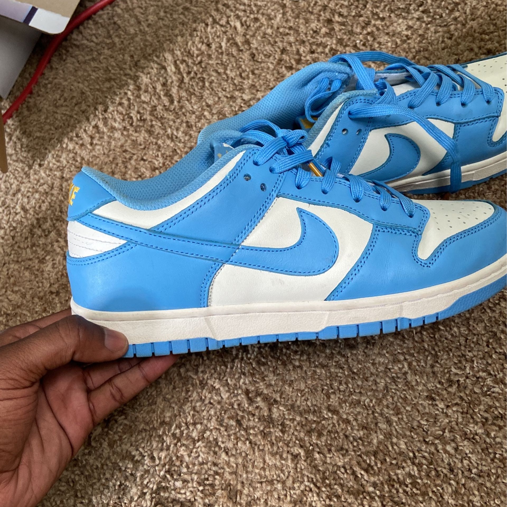 Nike Dunks 9.5