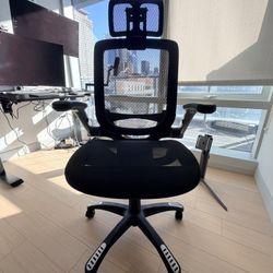 Ergonomic Desk Chair