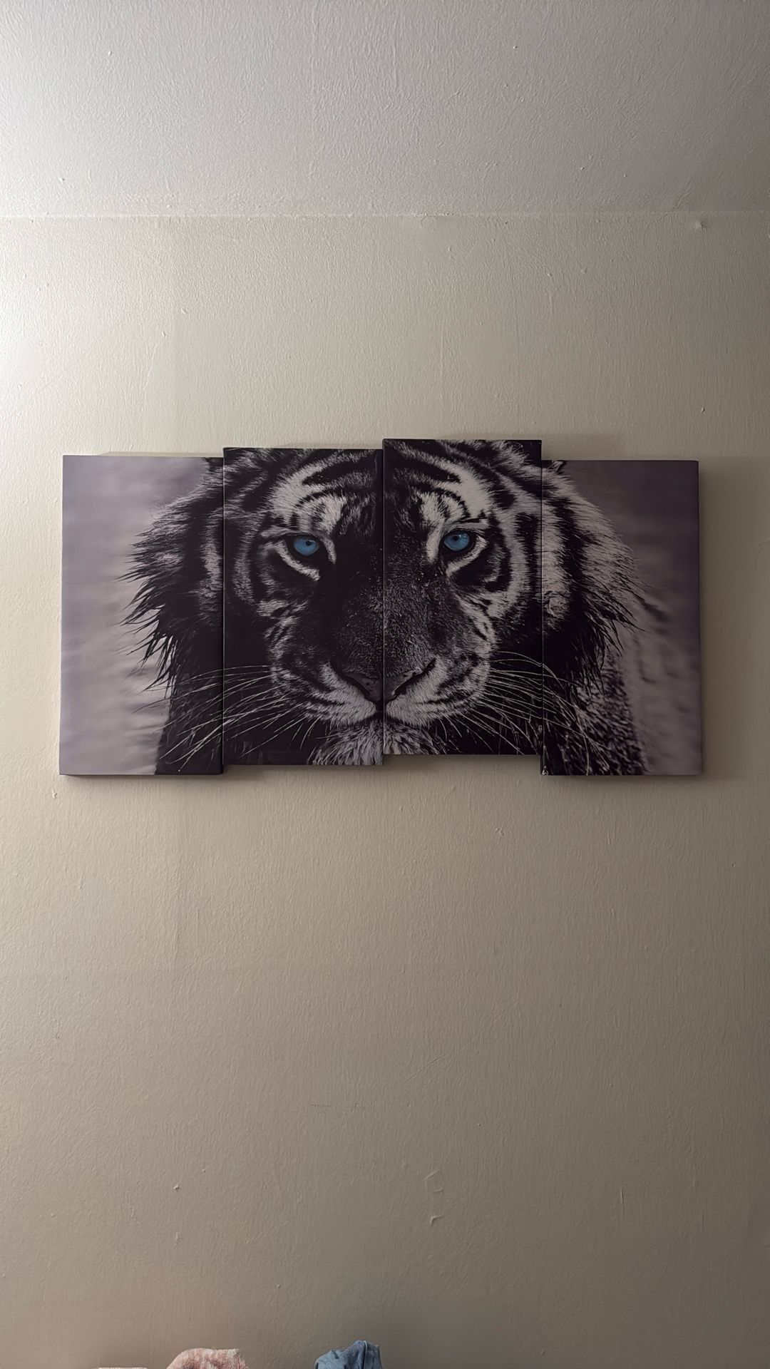 Medium Size Wall Art