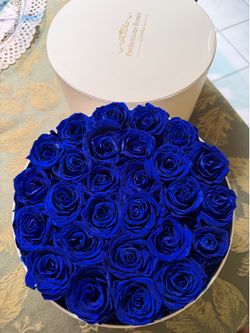 Perfection roses