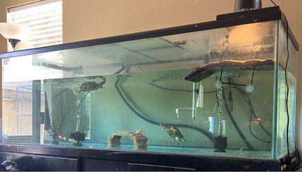 180 gallon tank and stand