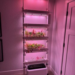 Hydroponic System