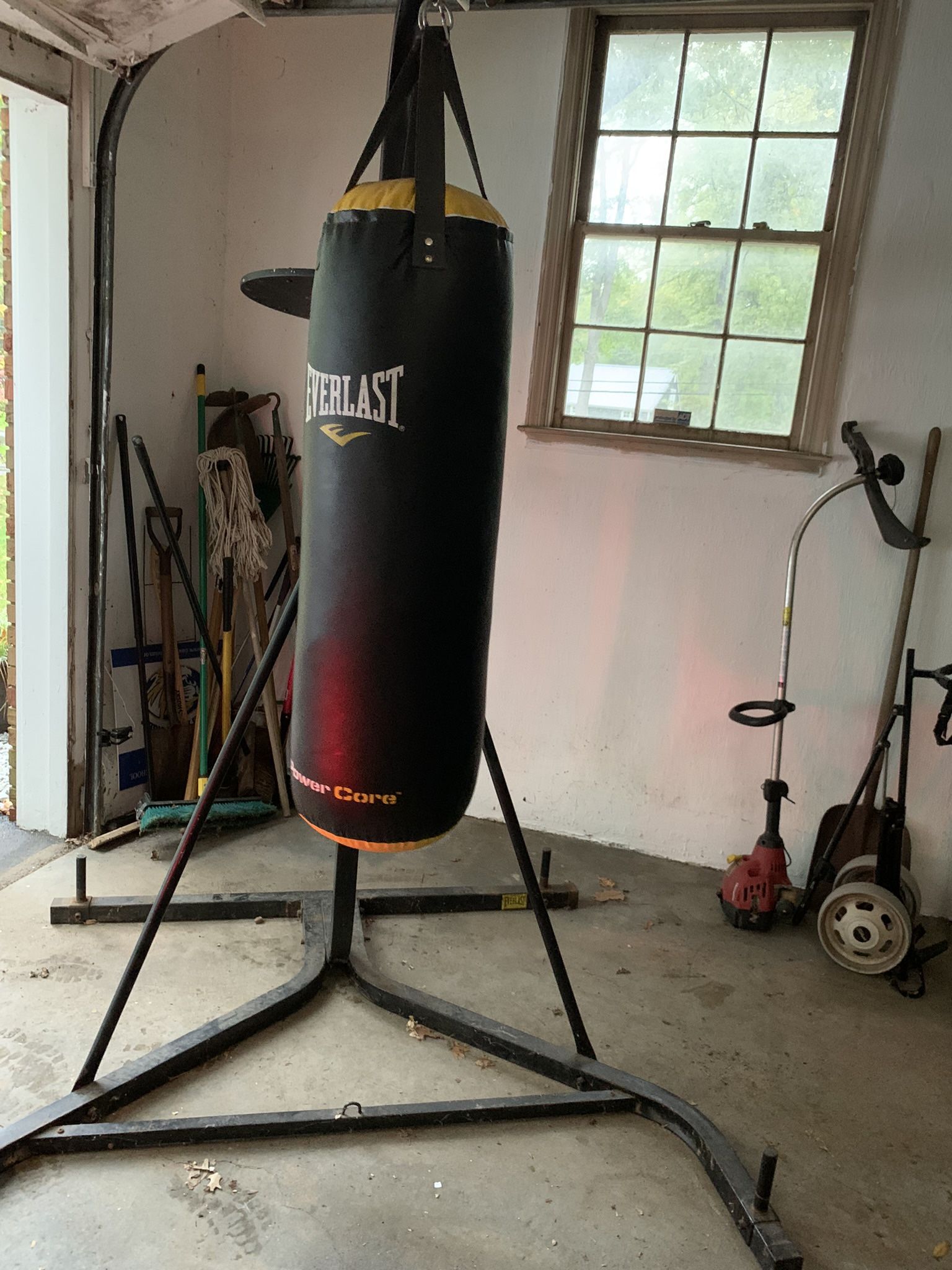 Everlast Punching Bag Plus Stand