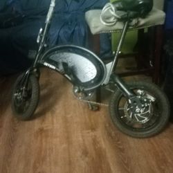 Electric Scooter 