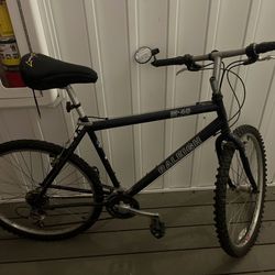 Raleigh M-40 Mountain Bike