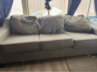 Gray Couch for Sale