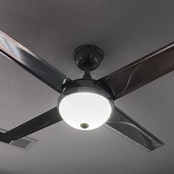 Modern Stainless Steel Tropical Ceiling Fan With Remote